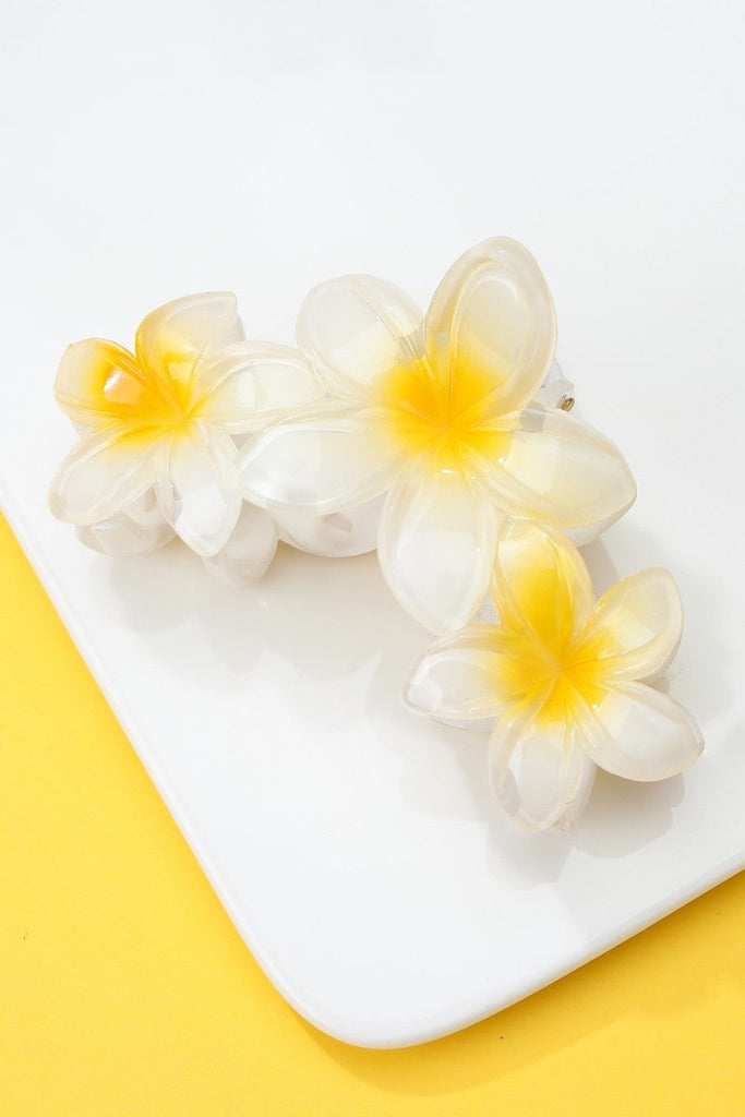 Gradient Resin Floral Hair Claw Clips | 40H1063