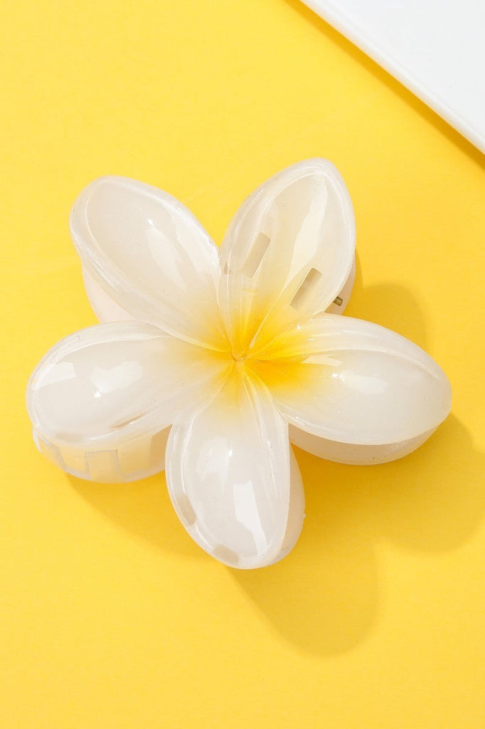 Gradient Floral Resin Hair Claw Clips | 40H1064