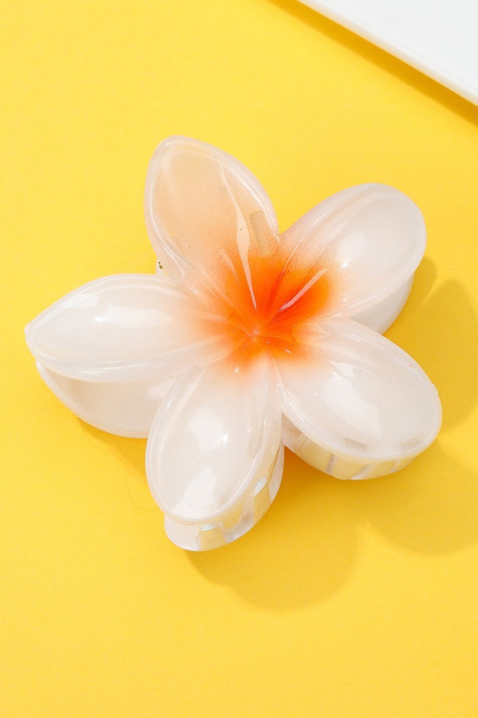 Gradient Floral Resin Hair Claw Clips | 40H1064